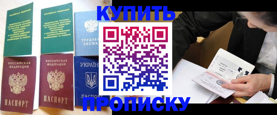 прописка для школы в Могочи